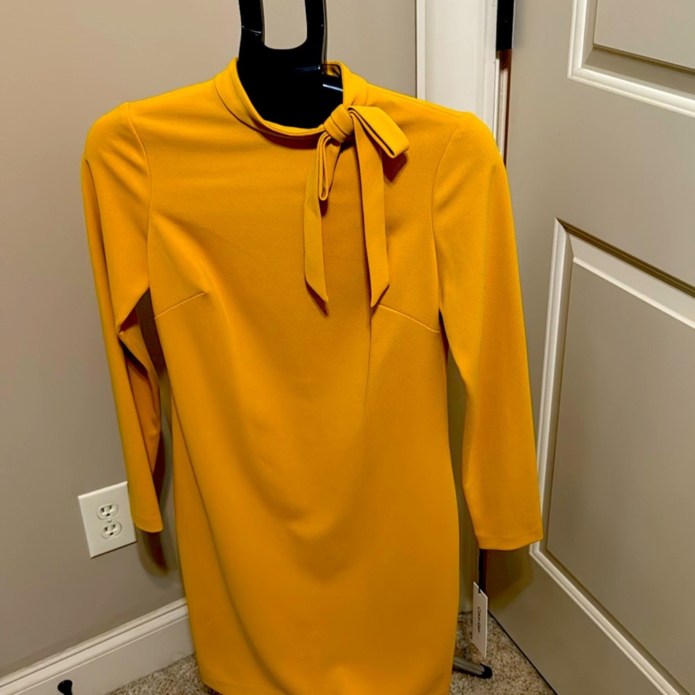Calvin Klein, size 4, long sleeve knee length.